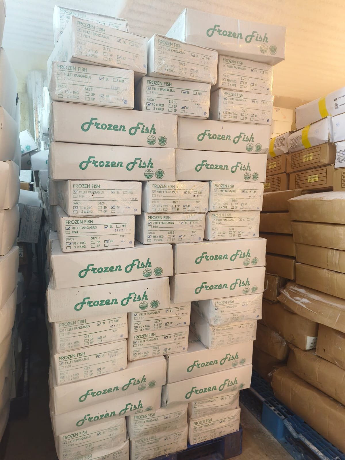 Dokumentasi pengiriman sayap ayam ke pelanggan HORECA
